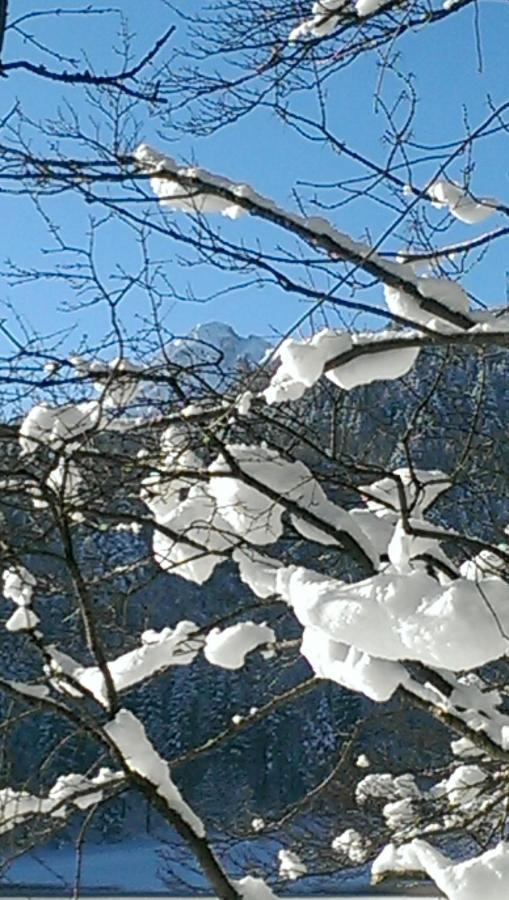 Fw Weissensee 44 Füssen Kültér fotó