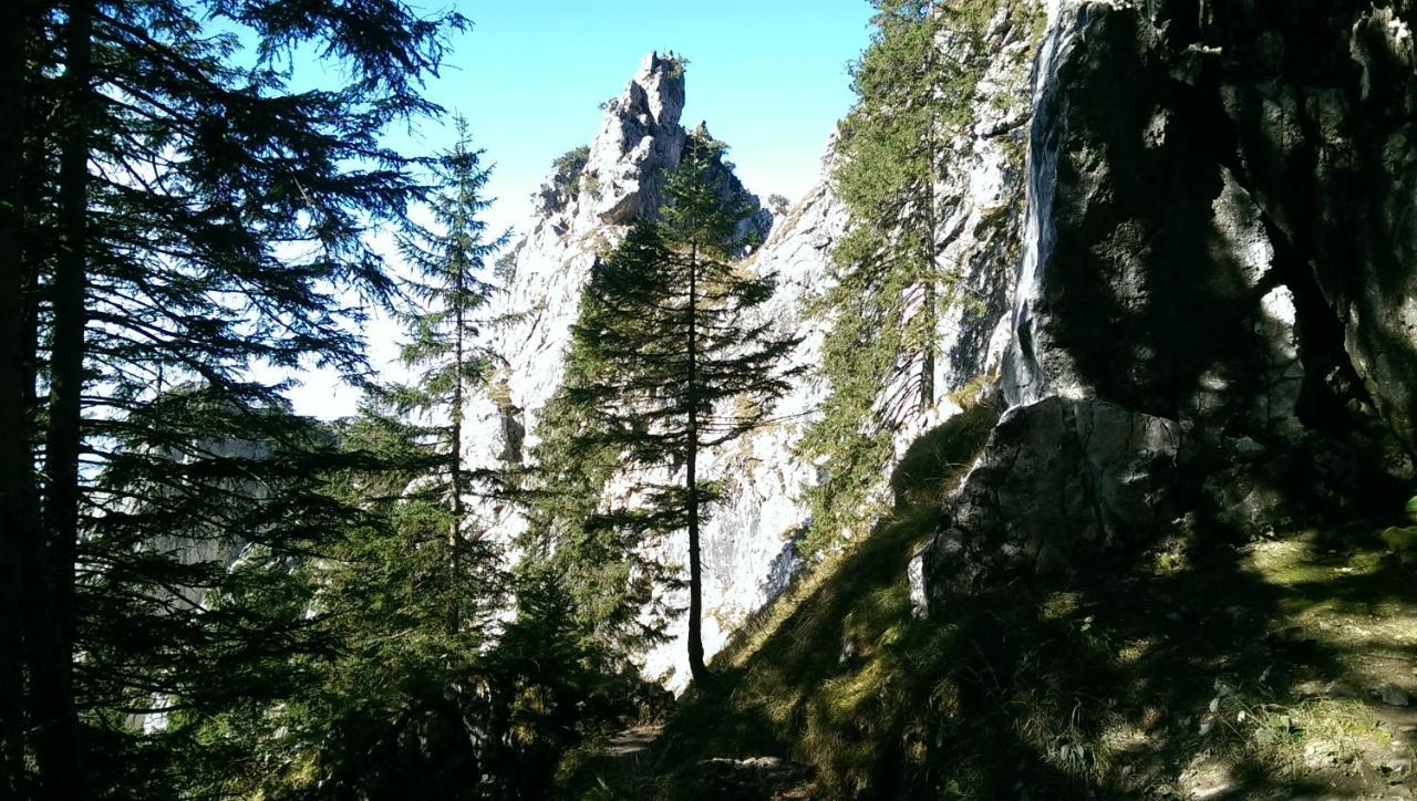 Fw Weissensee 44 Füssen Kültér fotó