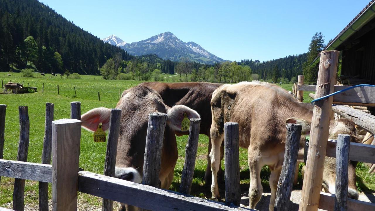 Fw Weissensee 44 Füssen Kültér fotó