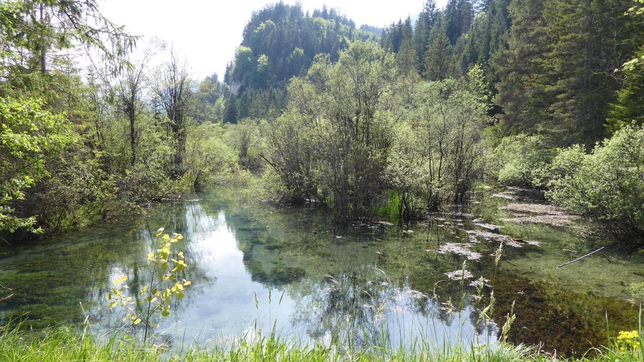 Fw Weissensee 44 Füssen Kültér fotó