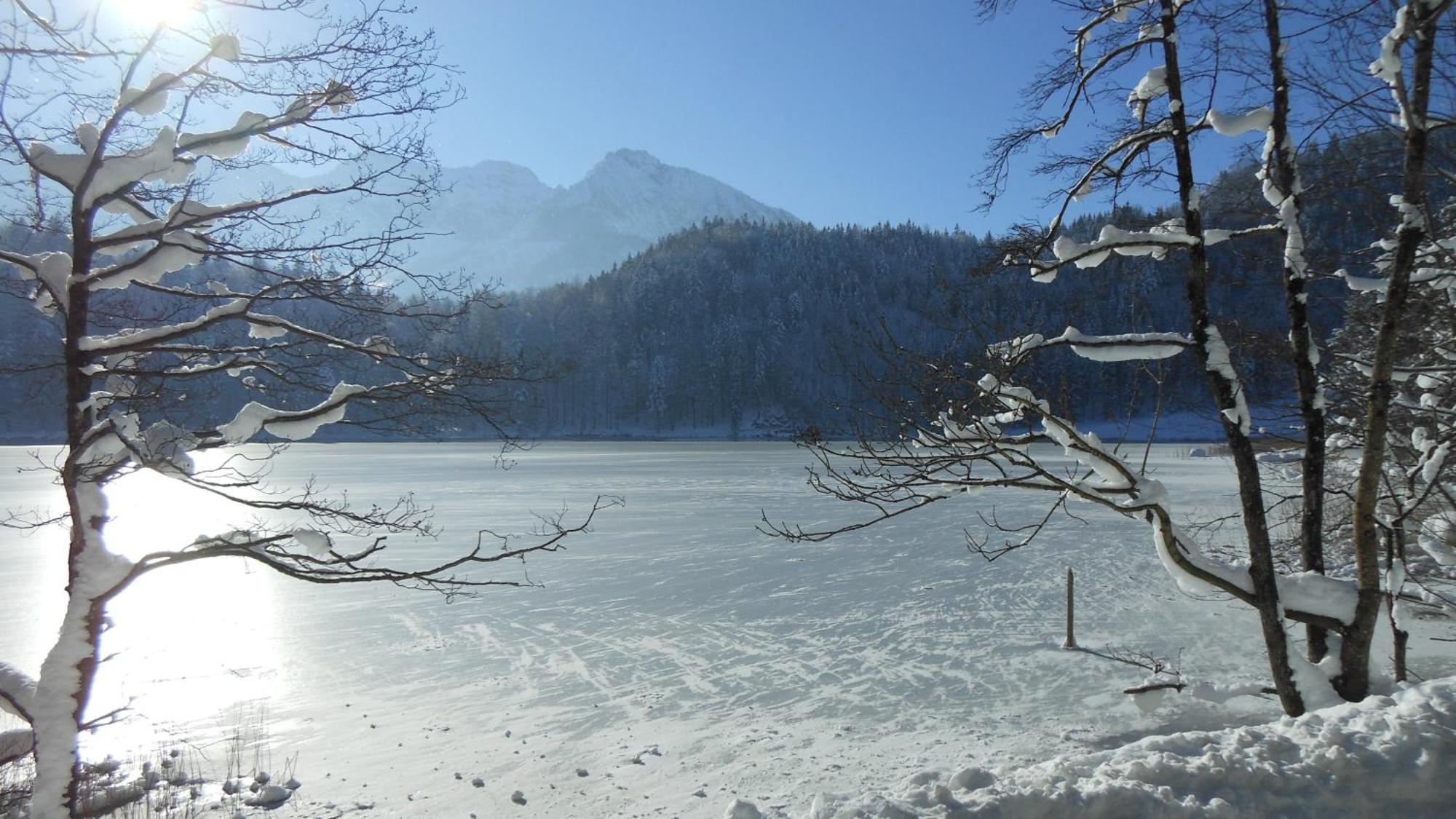 Fw Weissensee 44 Füssen Kültér fotó