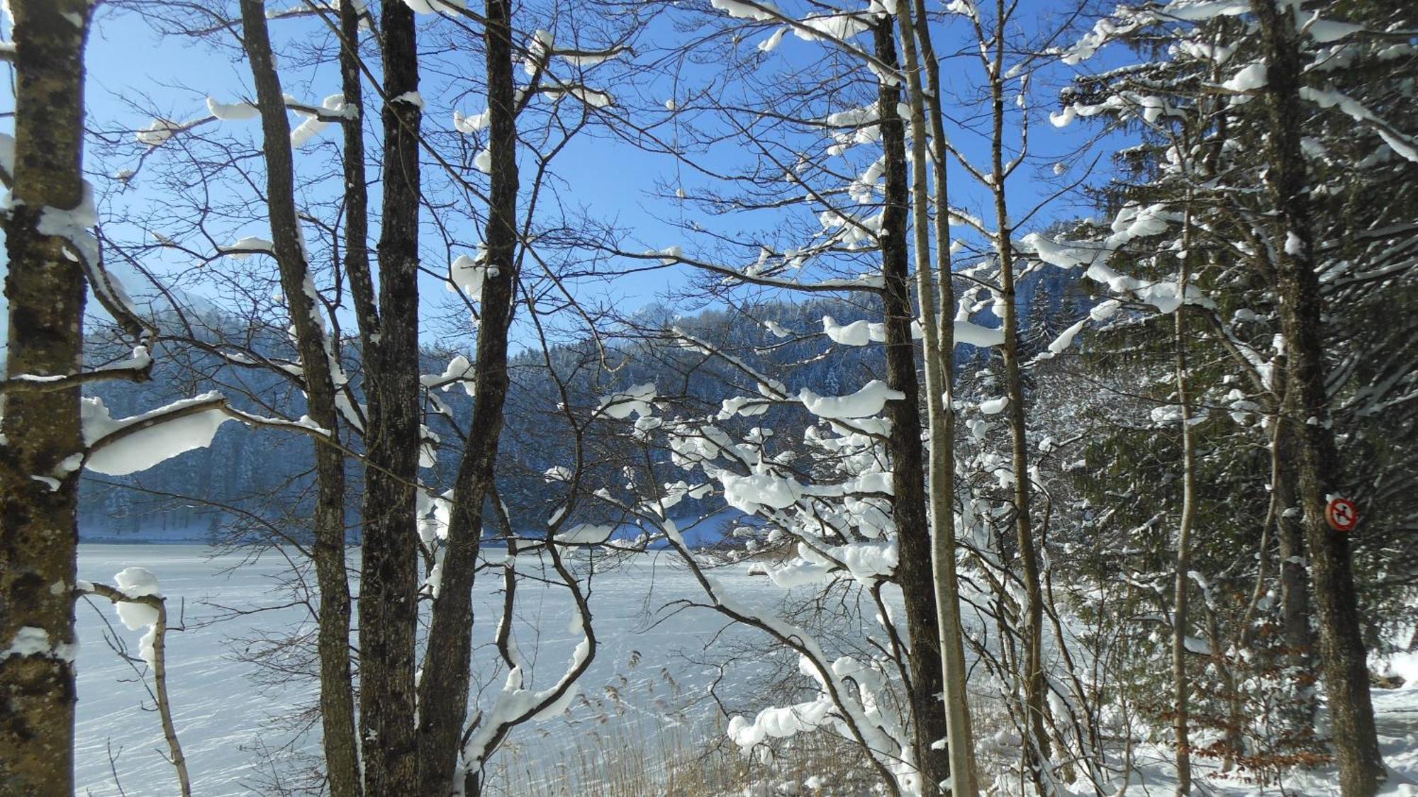 Fw Weissensee 44 Füssen Kültér fotó